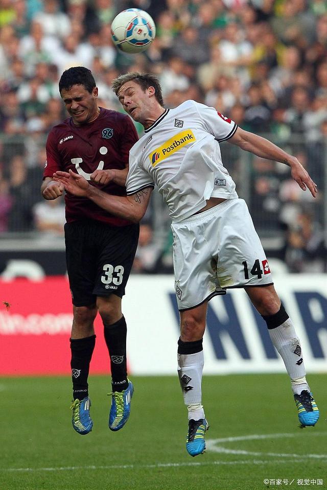 的战术生态 的战术生态