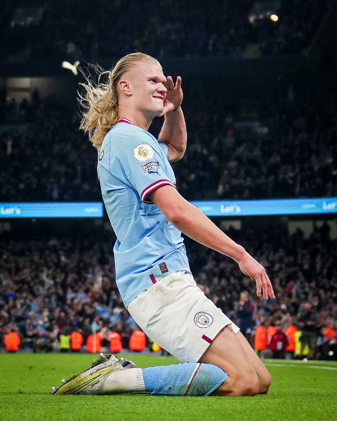 但热闹背后 但热闹背后